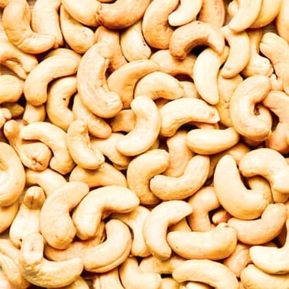 Cashew ( kaju/Anacardium occidentale)