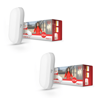20W LED Bulkhead Wall Mount Light-Cool White / Pack Of 2