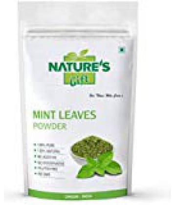 Nature's Gift MINT LEAVES Powder 200 gm