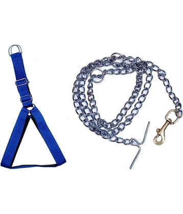 Tame Love Combo Leash Chain and Adjustable Chest Belt Harness for Medium Dog of all breeds (Blue color - 1 Inch)