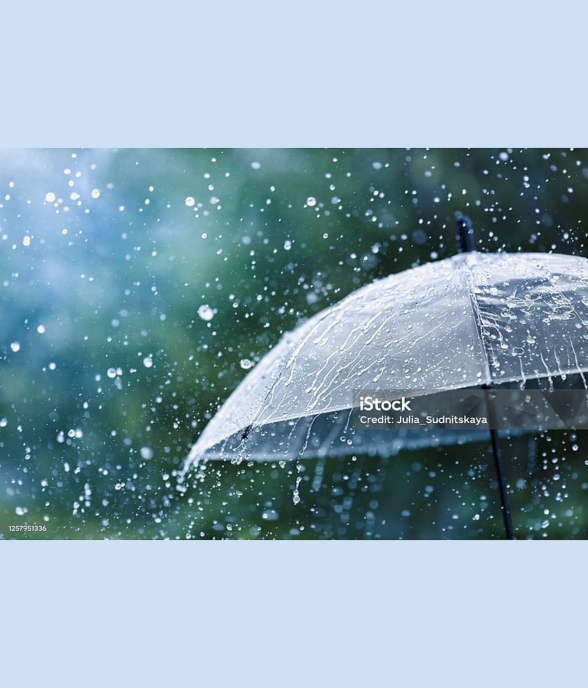 Infispace White 3 Fold Umbrella