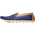 ... ...