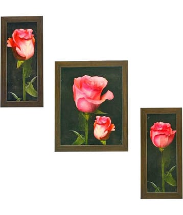 Indianara Synthetic Painting With Frame