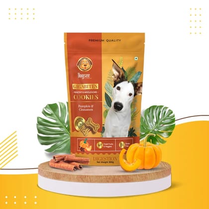 Dogsee Gigabites Pumpkin & Cinnamon Cookie For Dogs 300 Gms
