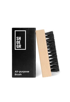 All Purpose Brush