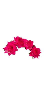 Classic Cotton Baseball Cap in Navy Blue