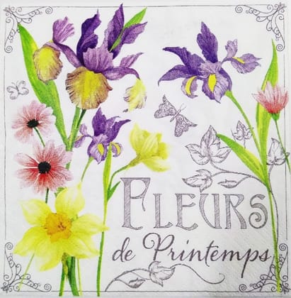 Decoupage Napkin / Tissue papers - GT1221