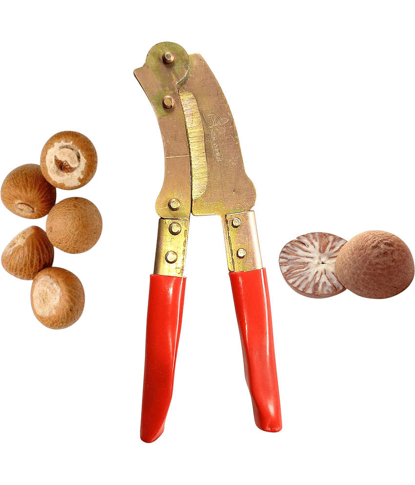 betel nut