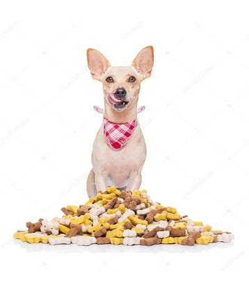 super chain Treat Dog Food Chicken & Veg for All ( 1 Kg )