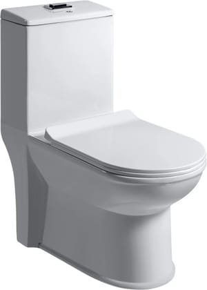 SALWEEN Siphonic EWC with Soft Close Seat Cover & Flushing Kit