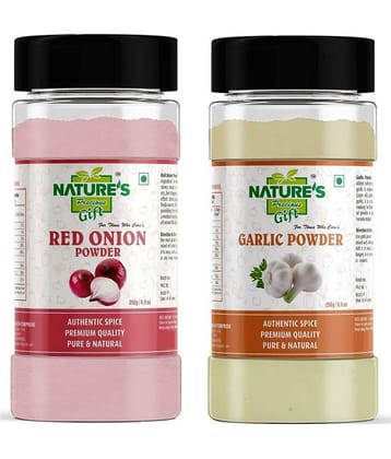 Natures Gift Garlic Powder & Red Onion Powder - 250 GM for Cooking & Baking Powder 250 gm Pack of 2