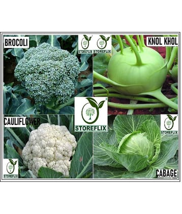 4 TYPE MIX GOBHI FLOWER VEGETABLE KNOL KHOL, CAULIFLOWER, CABBAGE, BROCOLI COMBO MIX PACK 40-40 SEEDS OF EACH ONE WITH USER MANUAL FOR INDOOR AND OUTDOOR HOME GARDENING USE SUPER SAVIOR DEAL