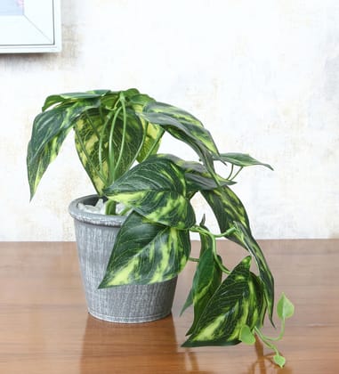 Foliyaj Artificial Money Plant with Pot |Artificial Plants for Home Decor| Indoor Artificial Plants for Living Room|Potted Artificial Plants