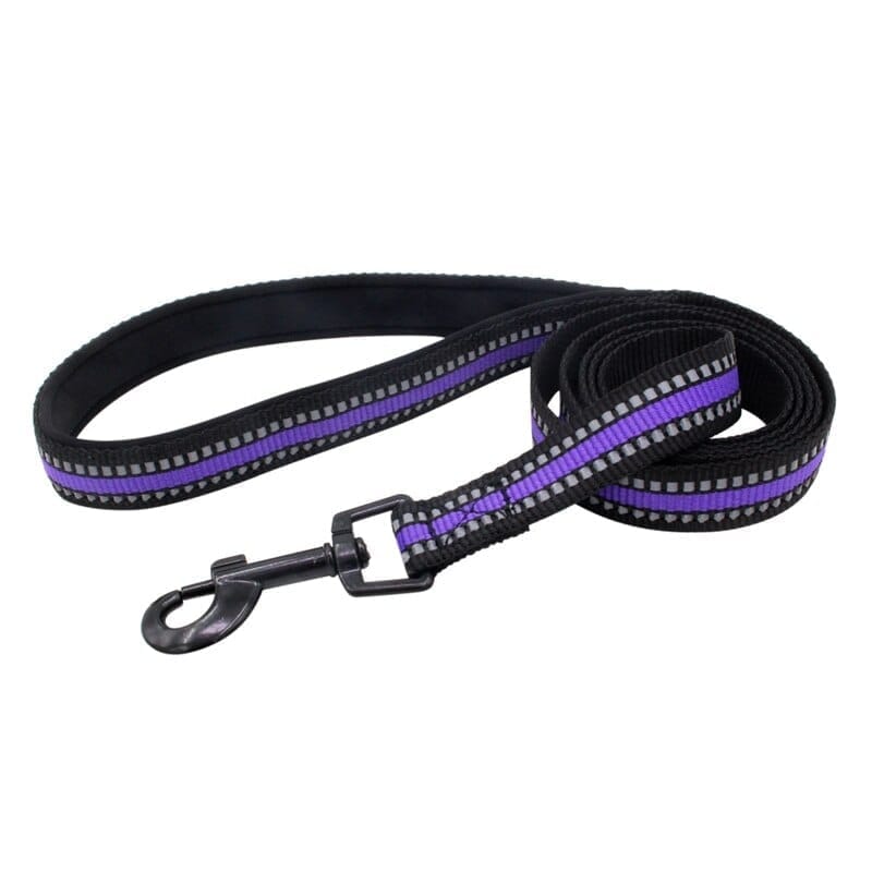 Radium Leash 3/4 inch 20mm (Purple)