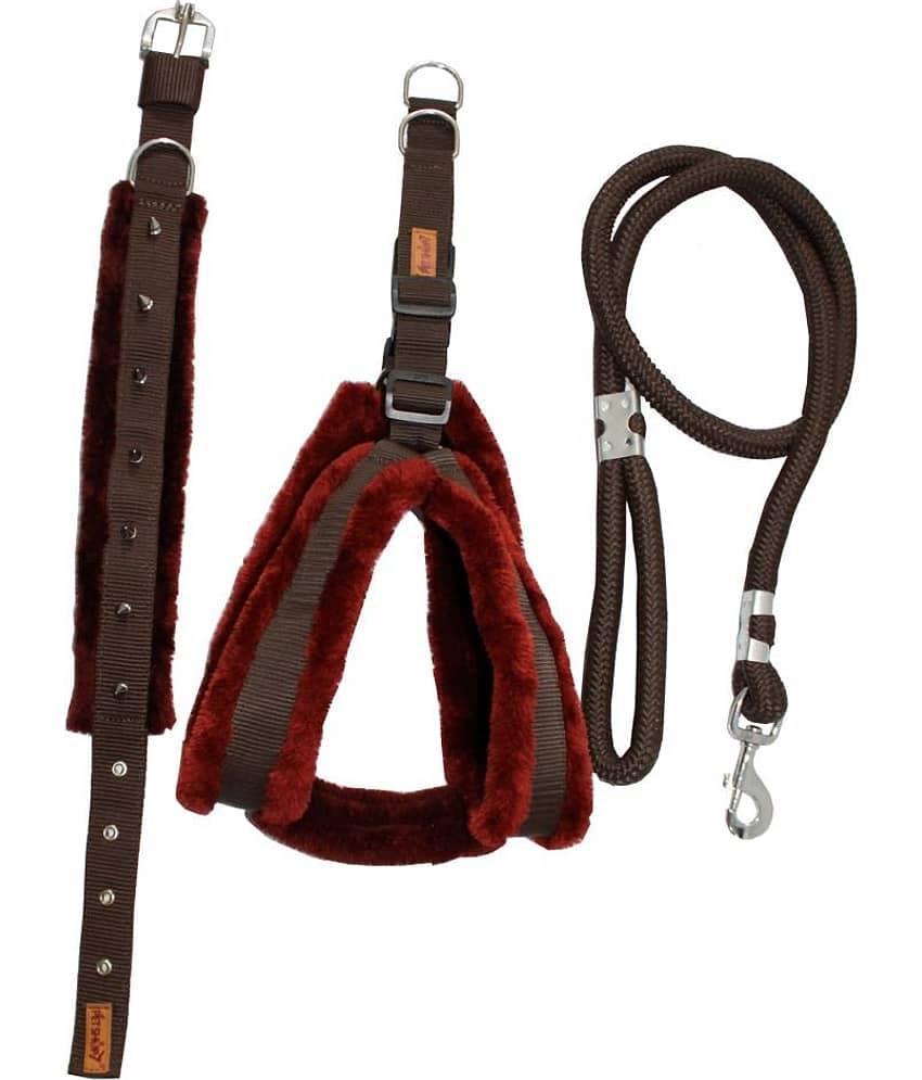 Petshop7 - Brown Dog Combo (Medium)