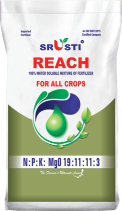 NPK 19-11-11-3MgO+TE Fertilizer (1*3Kg, Powder)