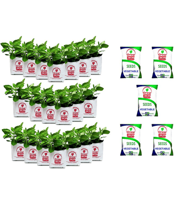 Grow bag for home gardening High Quality 150 Micron/600 Gauge | Pack of 20 Bags; Size: 30 x 16 x 16 cm with 5 veg seeds