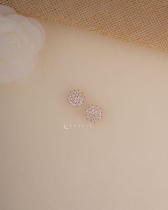 Rose Gold Silver Earrings SER1009