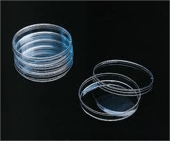 Petri dish disposable 100mm sterile single individual 100 PIC