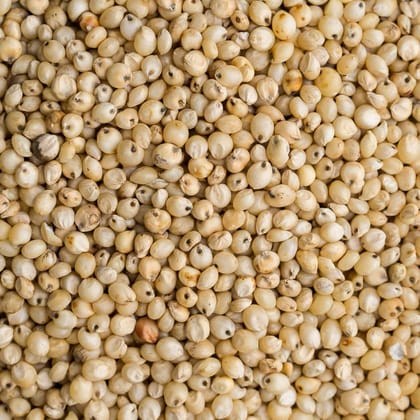 Jowar / Jola