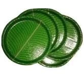 Premium EcoFriendly Paper Plates 100 Count