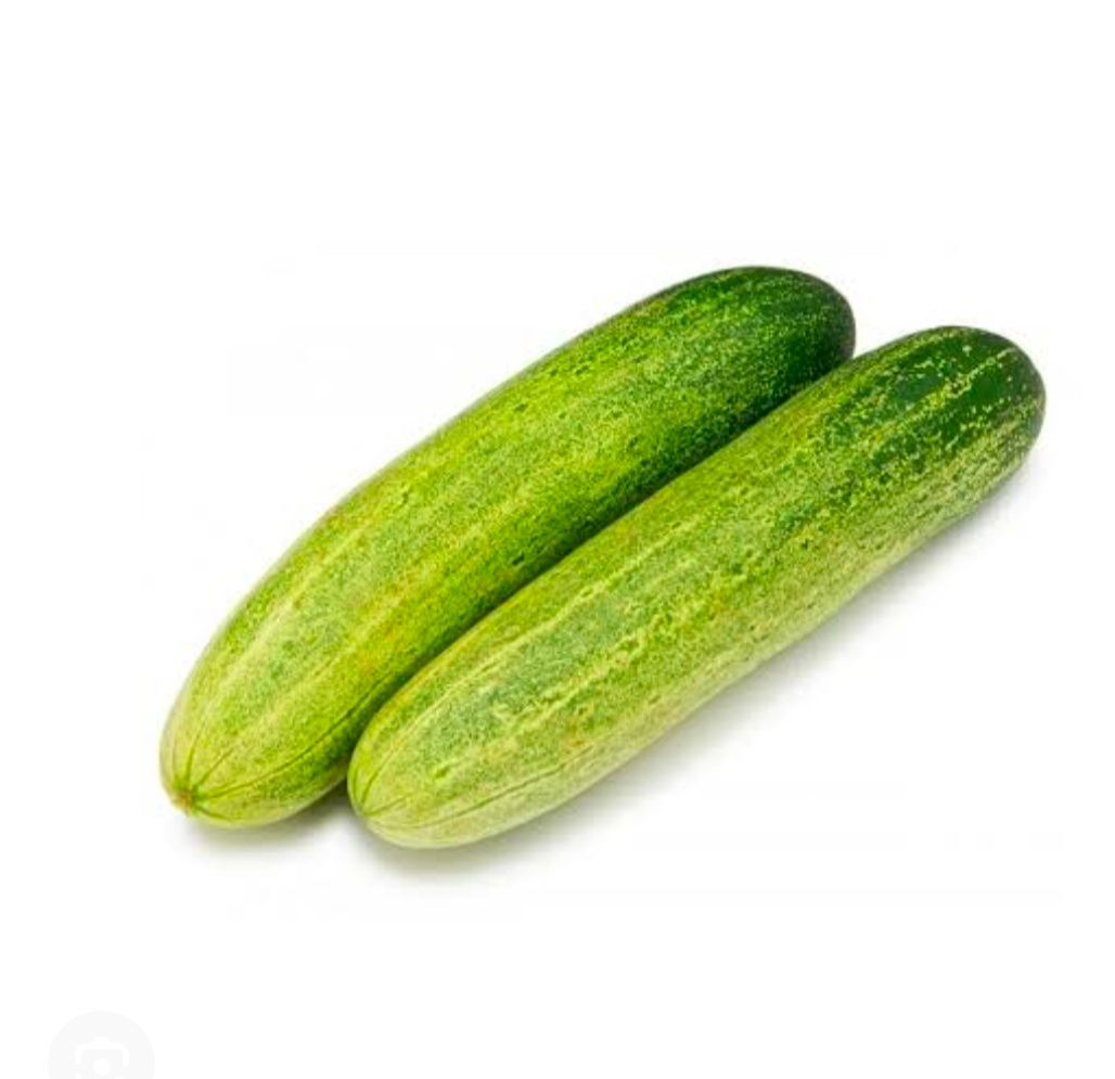 Cucumber
