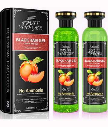 Adbeni Fruit Vinegar Gel Natural Semi Permanent Hair Color 500 mL Black