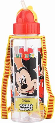 Ski Greece Mickey Mouse Printed Water Bottle For School Kids