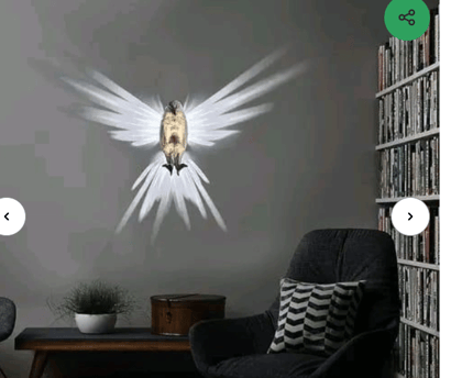 eagle shadow Wall lamp