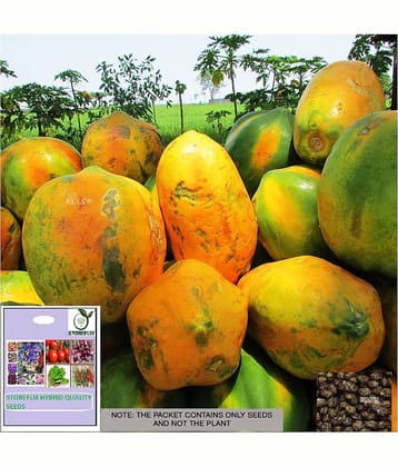 STOREFLIX Papaya Fruit ( 25 Seeds )