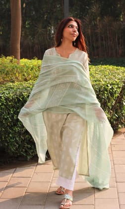 Cotton Light Khaki Weaved Kurta with Printed Dupatta-L