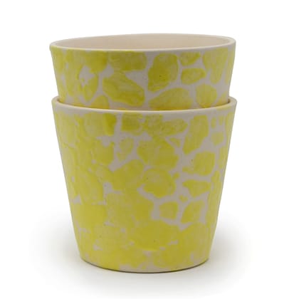 3.5 inch Planter Set-Yellow