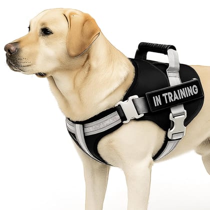 No Pull Dog Harness Soft Padded Dog Belt-L / Black