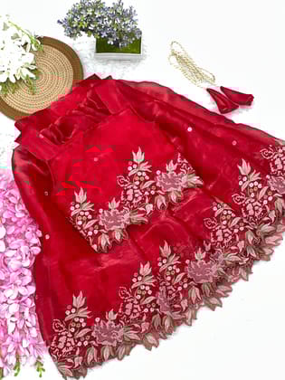 Innovative Jimmy-chu Beautiful Embroidery work Fabric Lahenga Choli-Red / 1 Year