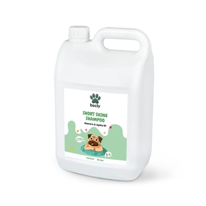 Bscly Short Shine Shampoo, 5 L