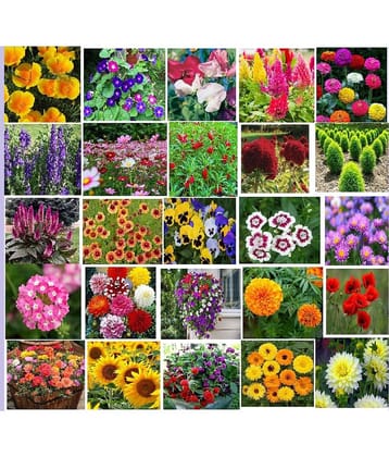 25 variety Flower seeds combo pack with instruction manual.
