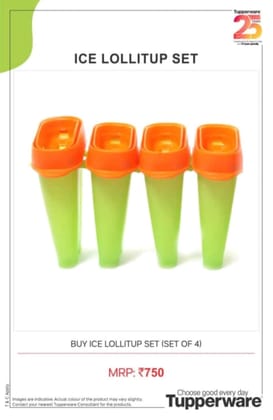 Ice Lollitup Set Of 4