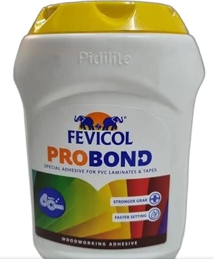 FEVICOL PRO BOND Multipurpose Adhesive, 1 kg, High Coverage and Grab