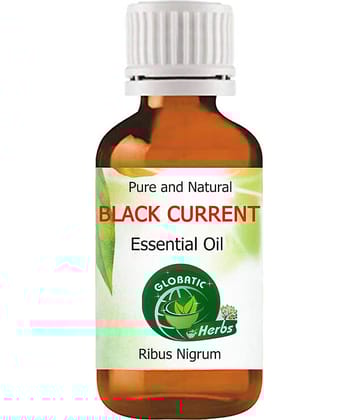 Globatic Herbs Black Currant Essential Oil 15 mL