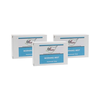 Artnweavess Morning Mist Handmade Soap NT, 100 gm - Pack of 3