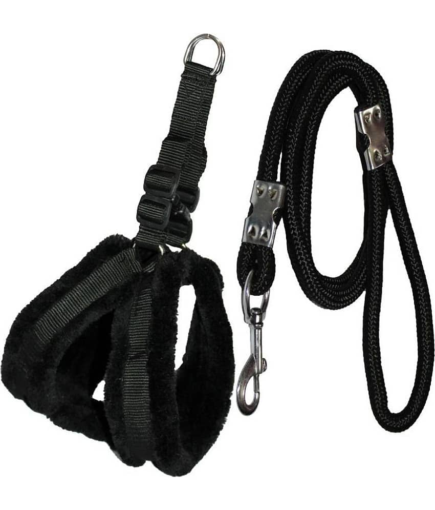 Petshop7 - Black Dog Combo (Medium)