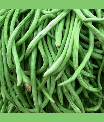 Jignisha Seeds Organic Cowpea Vegetable ( 50 Seeds )