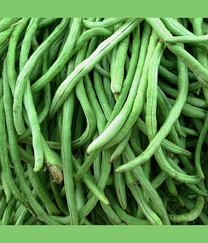 Jignisha Seeds Organic Cowpea Vegetable ( 50 Seeds )