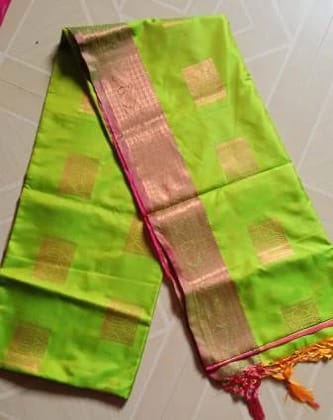 Exquisite Pattu Sarees Drape in Elegance