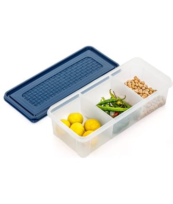 MAGICSPOON Medicine Container Polyproplene Navy Blue Spice Container ( Set of 1 )