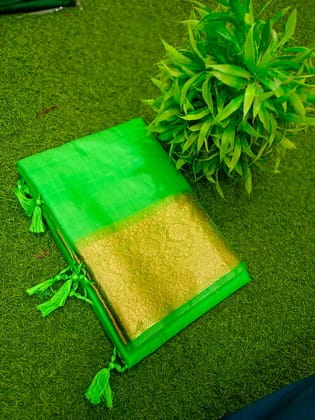 Maslin Organza Saree With BP