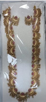 Chandra core  long necklace