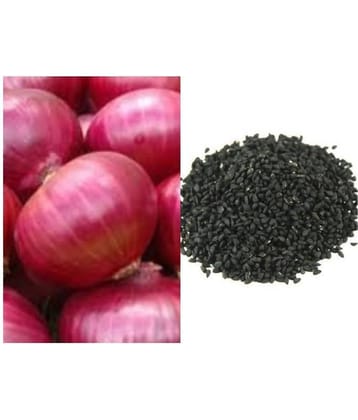 Onion Orange Seeds, Kanda, Onions Ovalish Shaped Pyaaz Seeds 200 Seeds