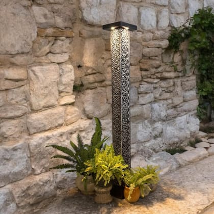 Tall carved pillar : Stambh 1