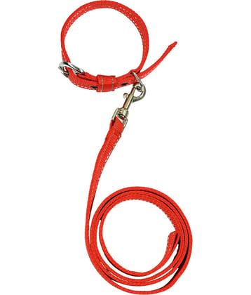 BLINGPETS Red Combo (Collar Belt and Leash) ( Medium )